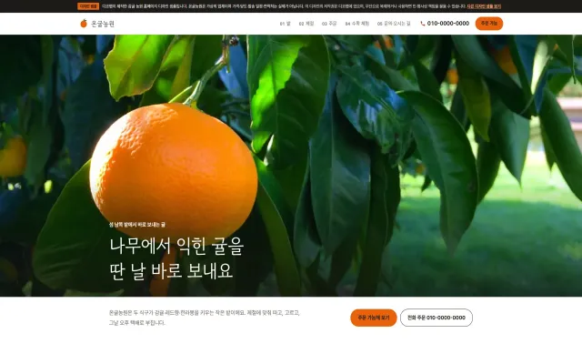 감귤 농원 홈페이지 디자인 샘플 – 사진 챕터·주문 가늠형 원페이지